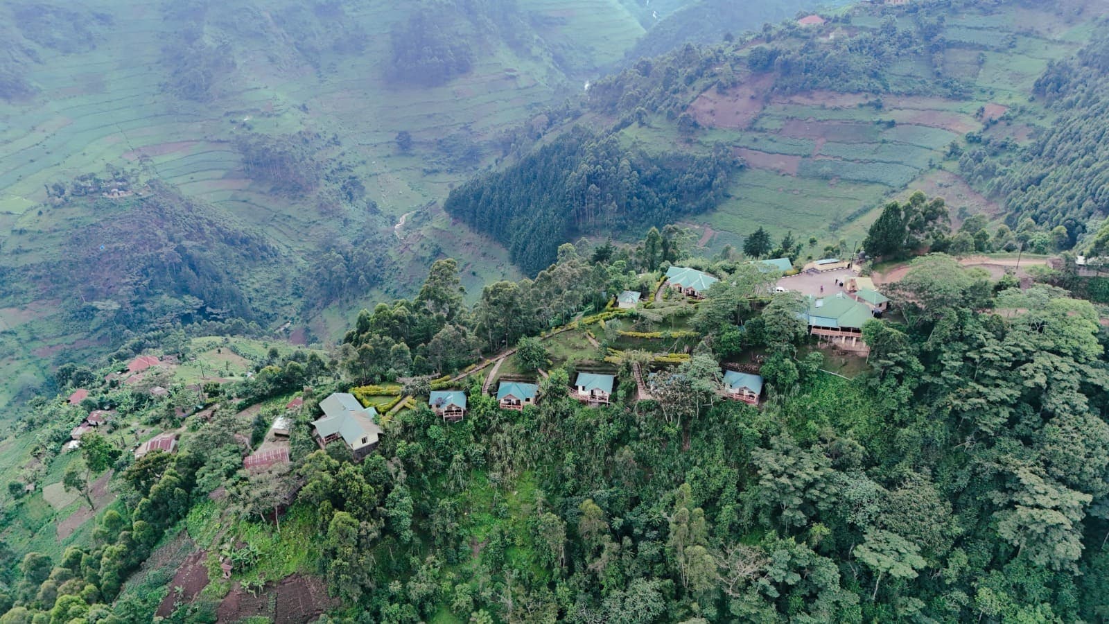 Our Sustainability Journey: How We're Protecting Bwindi