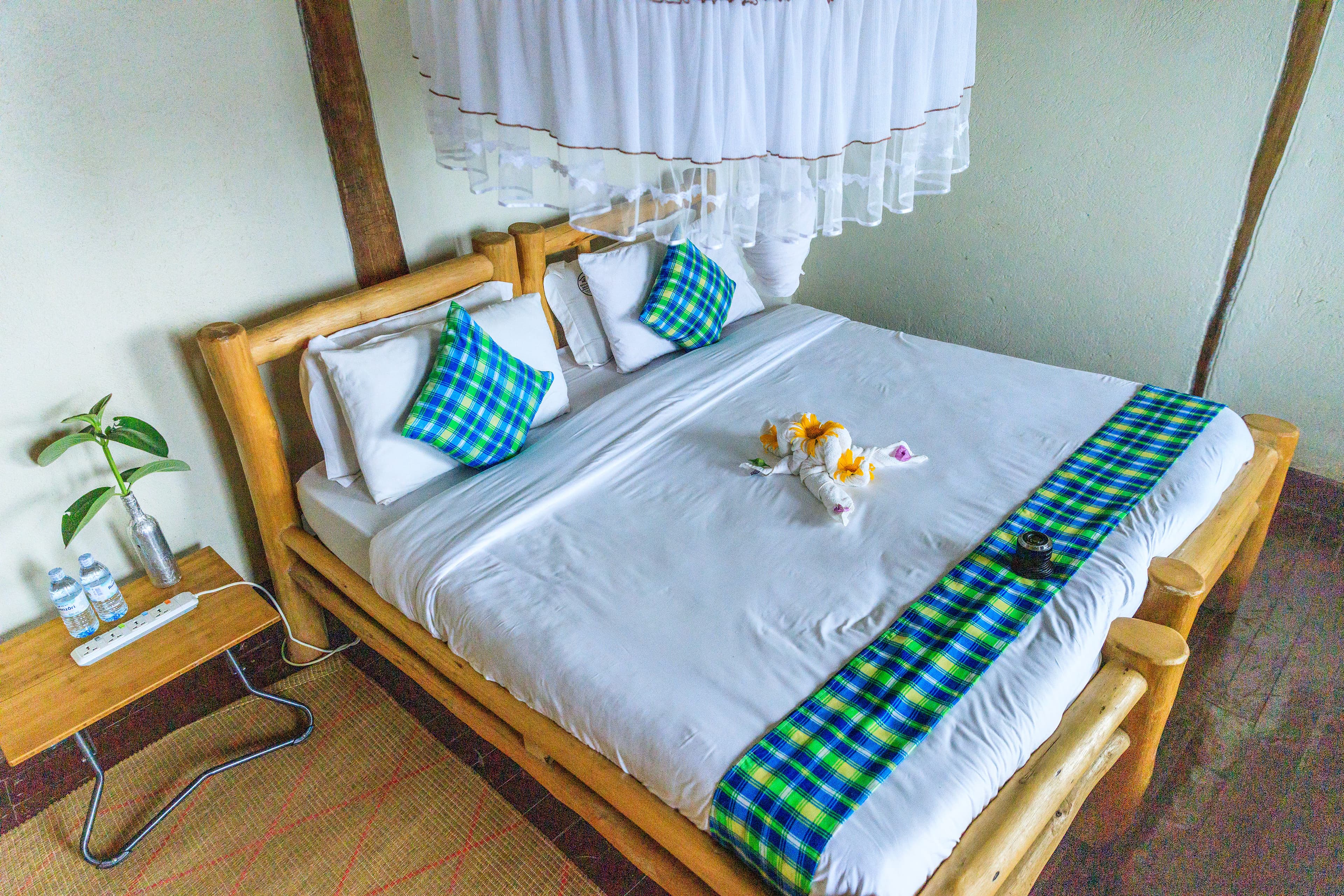 Standard Forest Room