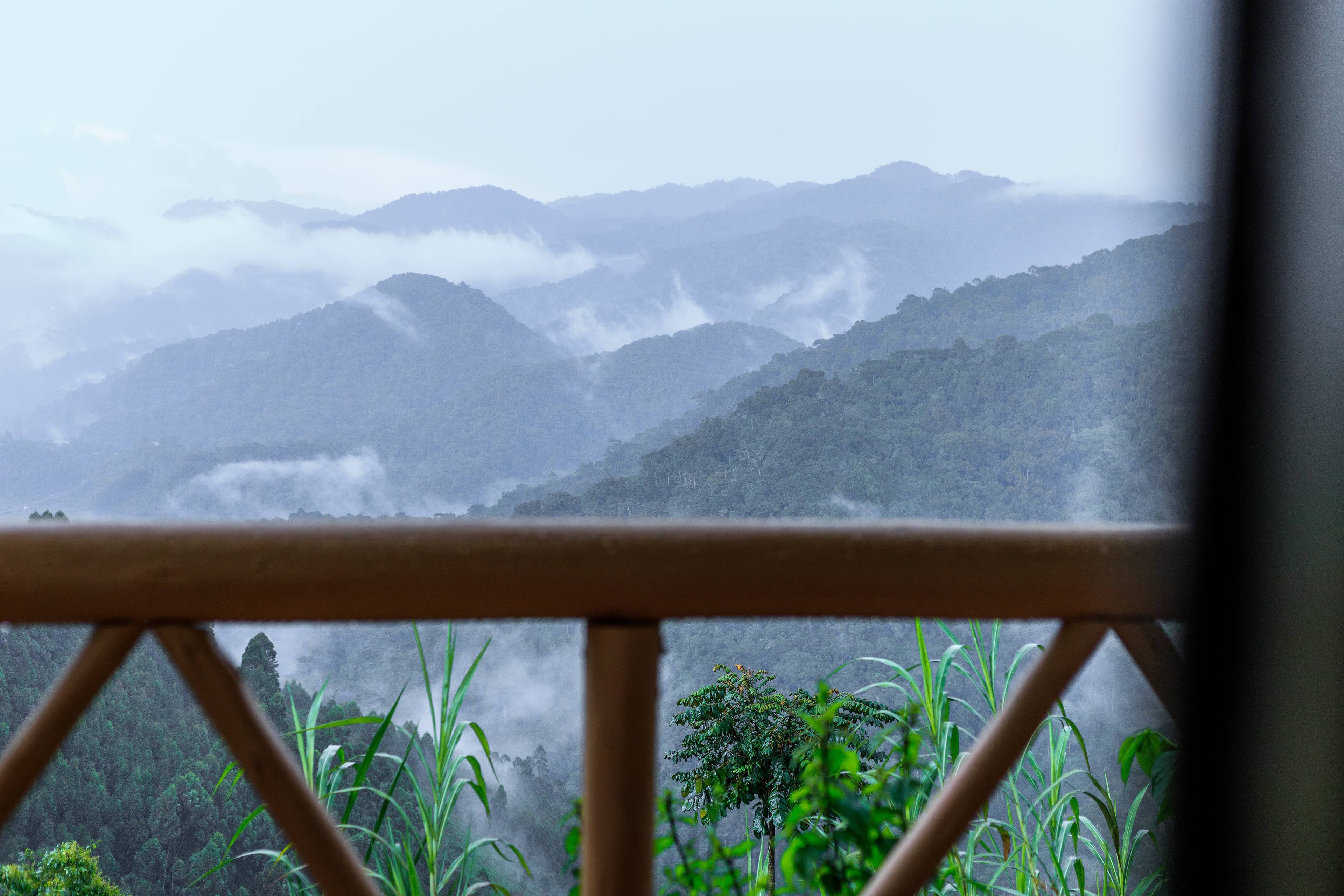 Executive suite with panoramic forest view